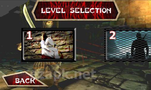 Tower ninja assassin warrior
