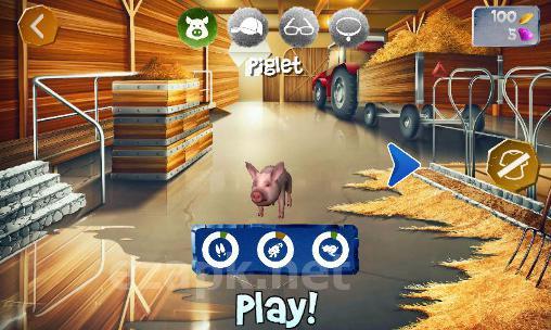 Pig simulator