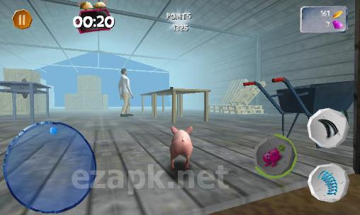 Pig simulator