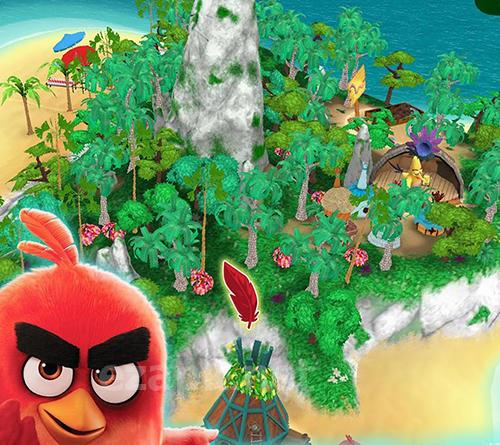 Angry birds explore