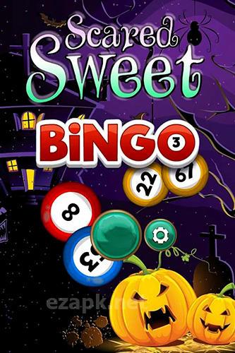 Bingo quest: Halloween holiday fever
