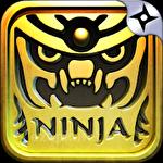 Rush Ninja - Ninja Games