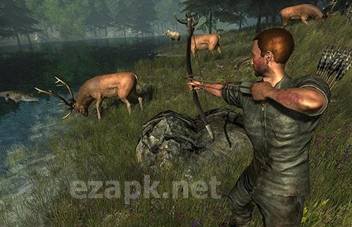 Amazon jungle survival escape
