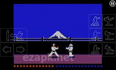 Karateka Classic