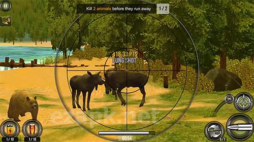 Wild hunt: Sport hunting game