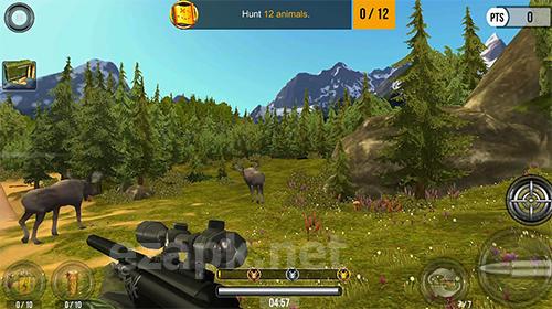 Wild hunt: Sport hunting game