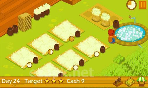 Sheep farm