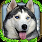 Stray dog simulator