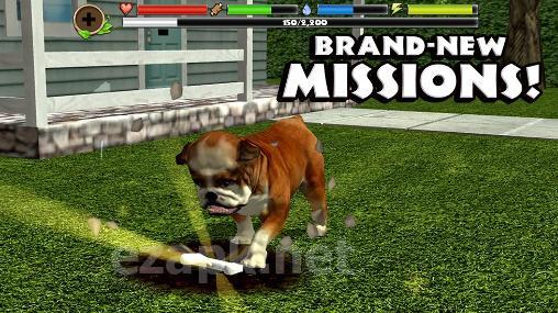 Stray dog simulator