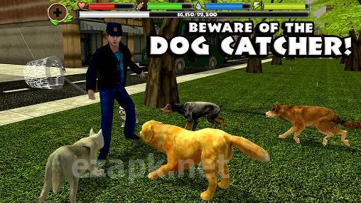 Stray dog simulator