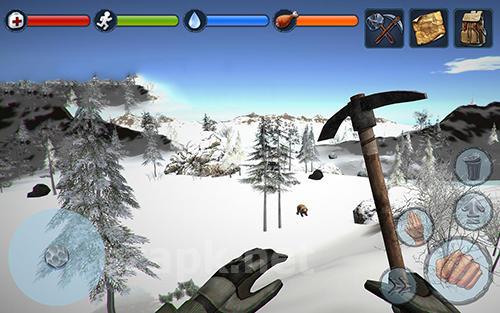 Island survival