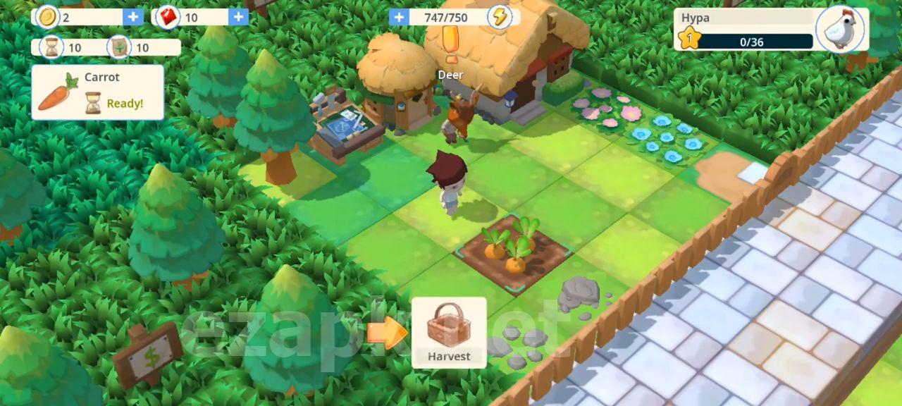 Pocket Pioneers