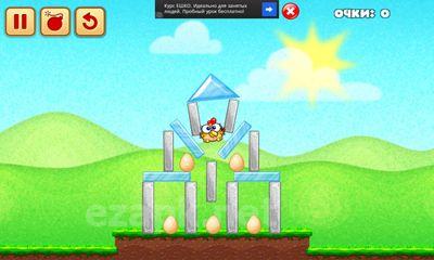 Chicken Raid