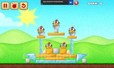 Chicken Raid