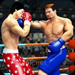 World tag team super punch boxing star champion 3D