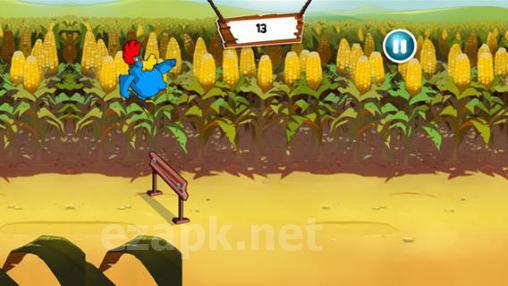 Chicken fighters