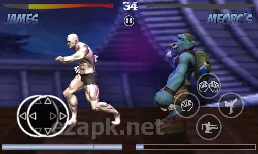 Deadly fight