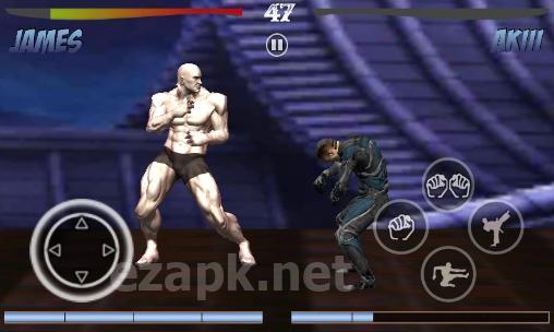 Deadly fight