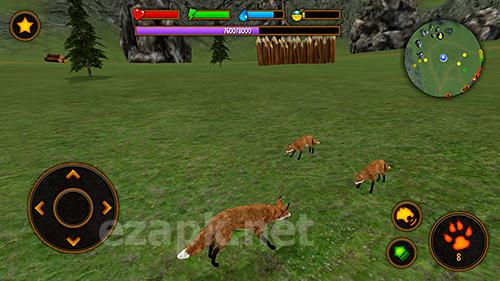 Clan of fox