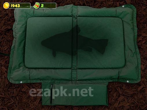 Carpcraft: Real time carp fishing