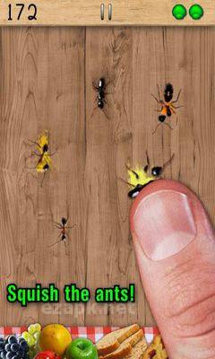 Ant Smasher