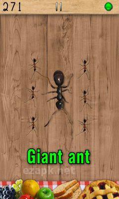 Ant Smasher
