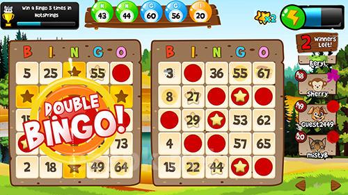 Bingo Abradoodle