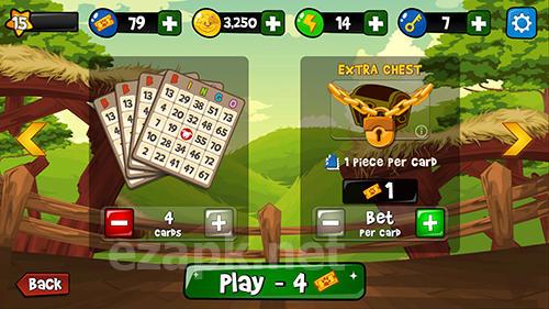 Bingo Abradoodle