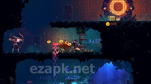 Dead cells