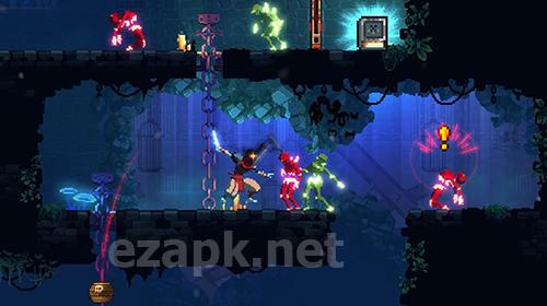 Dead cells