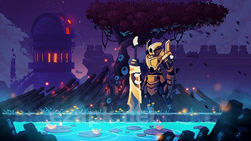 Dead cells