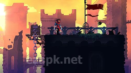 Dead cells