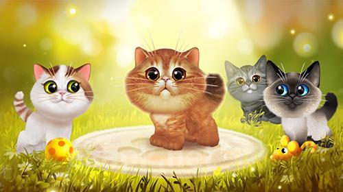 Happy kitties