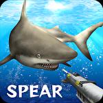Survival spearfishing