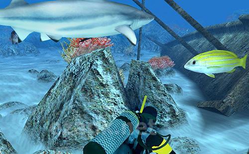 Survival spearfishing
