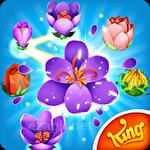 Blossom blast saga