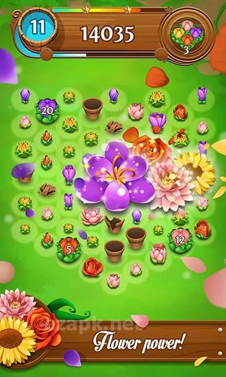Blossom blast saga