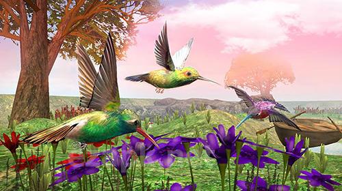 Hummingbird simulator 3D