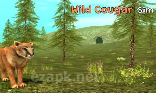 Wild cougar sim 3D