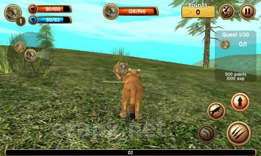 Wild cougar sim 3D
