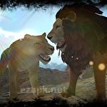 Real lion simulator