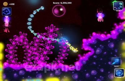 Glowfish HD