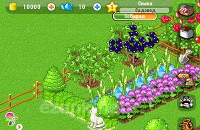 Funny farm