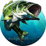 Sport fishing: Catch a trophy