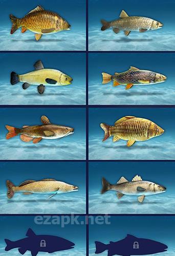 Sport fishing: Catch a trophy