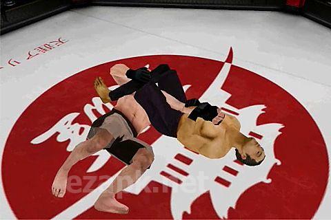 MMA: Mix martial arts