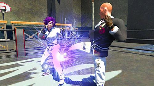 Karate fighting tiger 3D 2