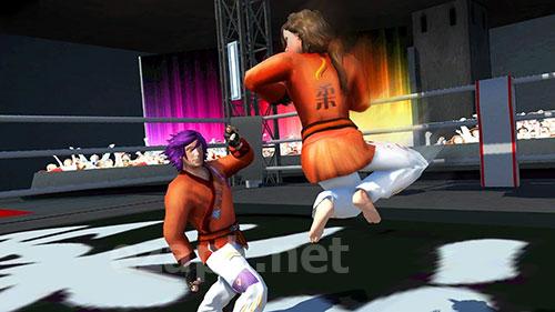 Karate fighting tiger 3D 2