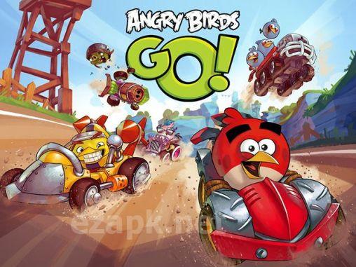 Angry birds go!