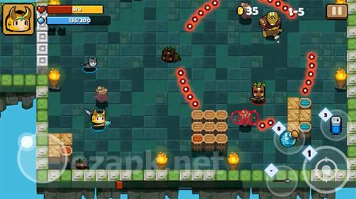 Heroes soul: Dungeon shooter